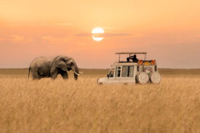 Visit Mara