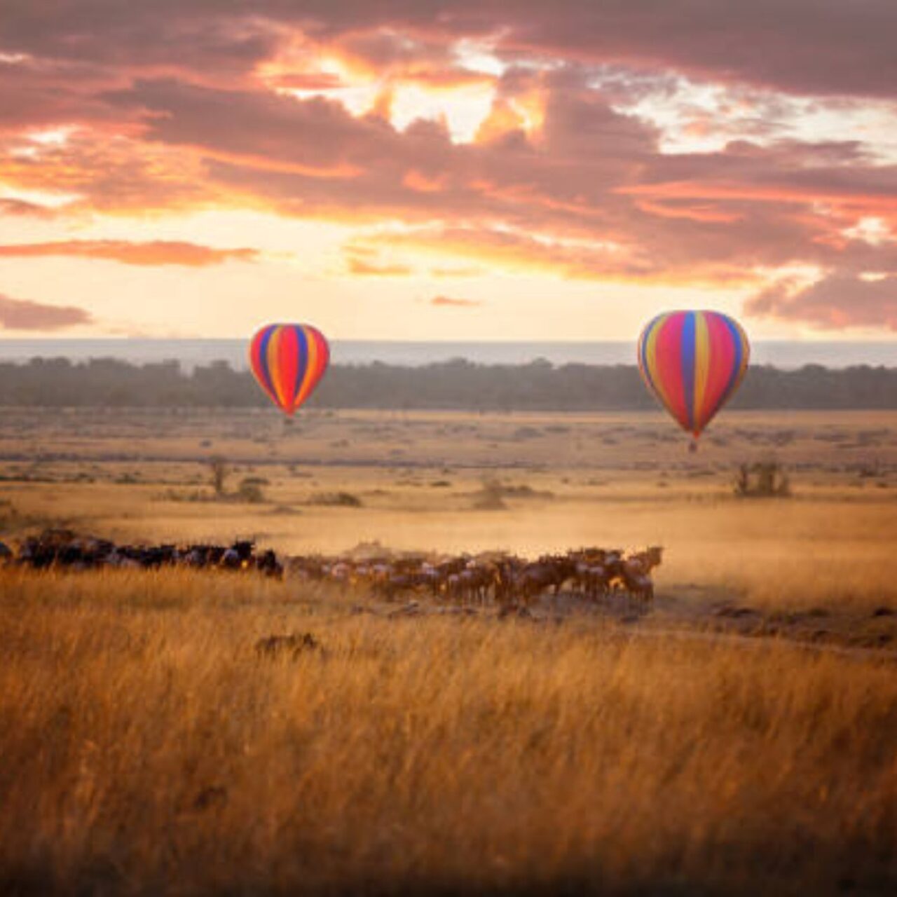 https://fallingforafrican.com/wp-content/uploads/2025/05/Untitled-design-2025-05-11T014027.397-1280x1280.jpg