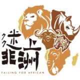 https://fallingforafrican.com/wp-content/uploads/2025/05/Untitled-design-2025-05-20T002519.066-160x160.jpg