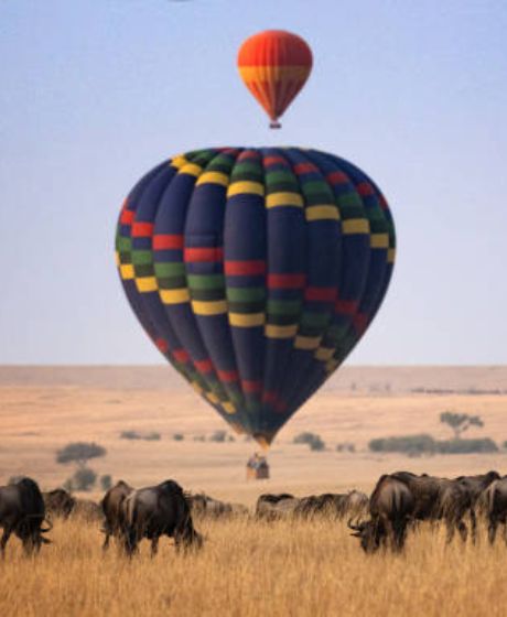 Maasai Mara