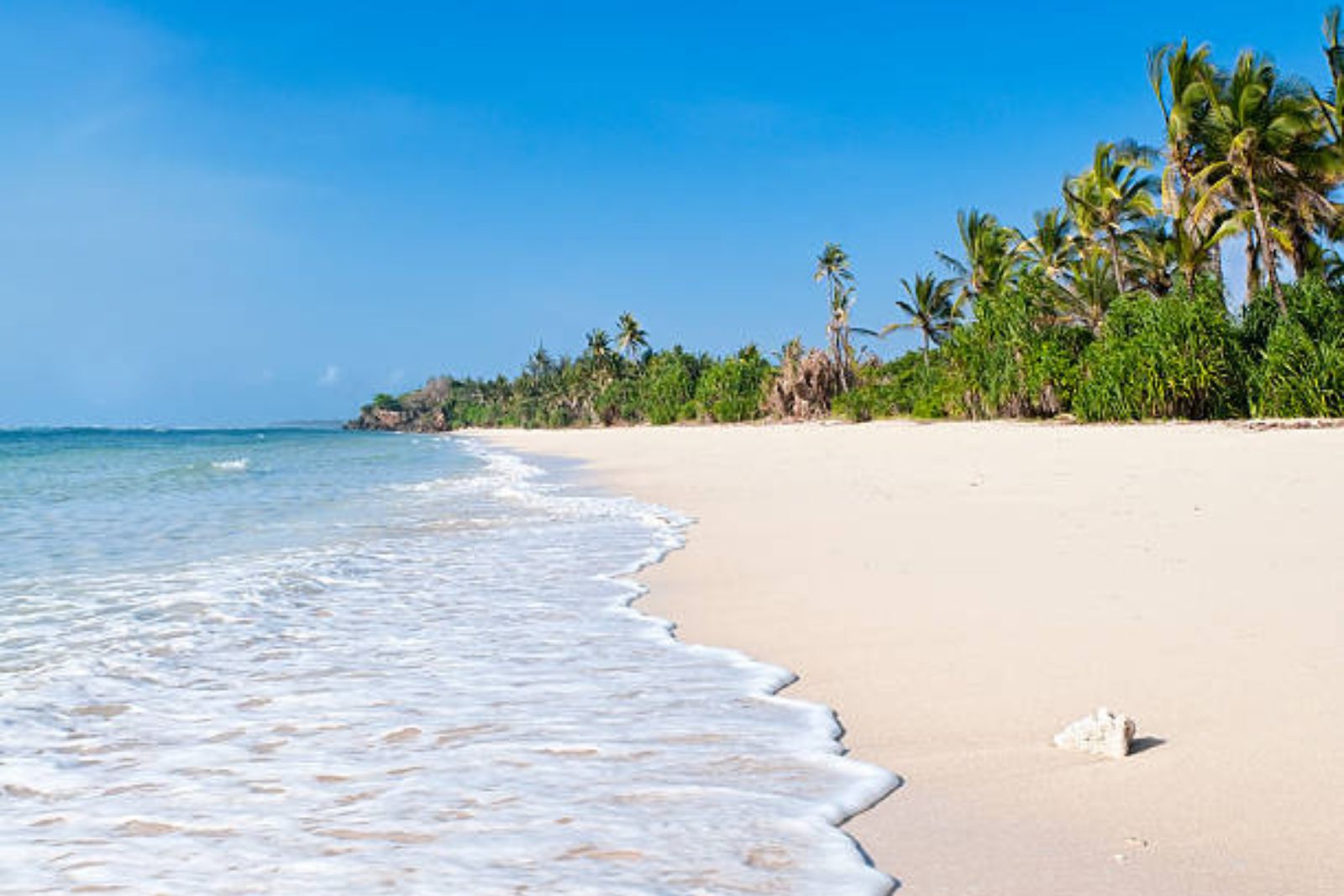 Sun & Sand at Diani Beach