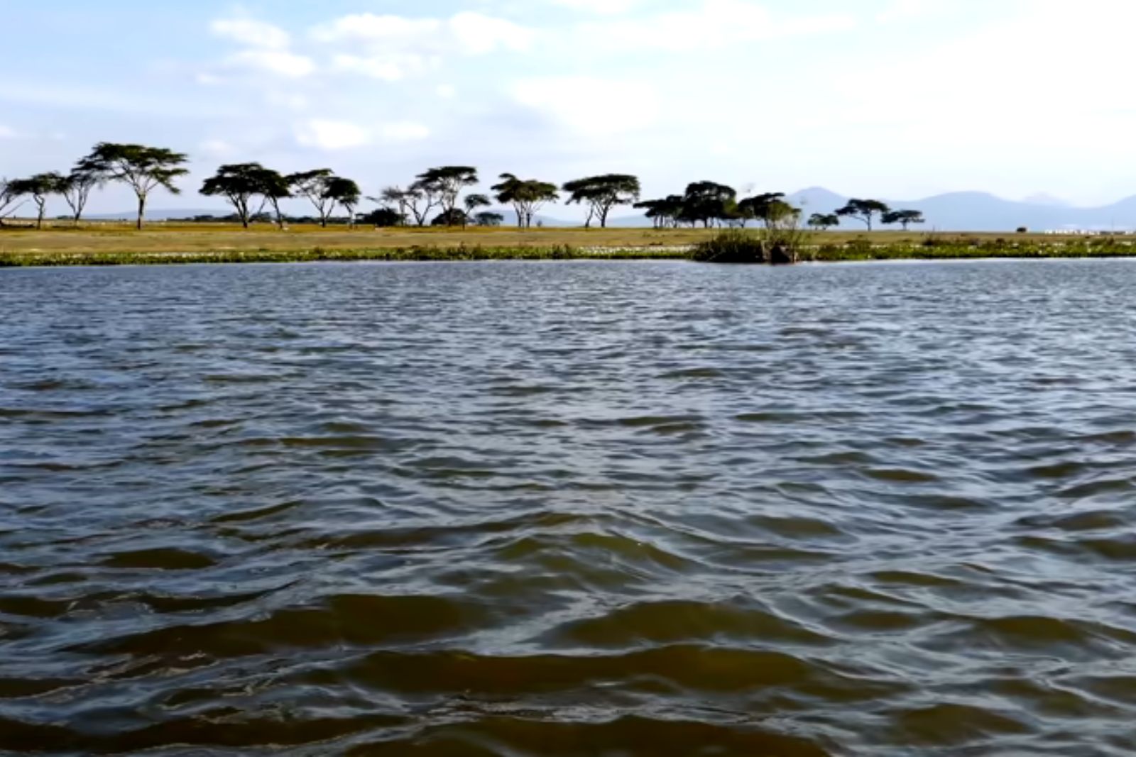 Serene Moments at Lake Naivasha