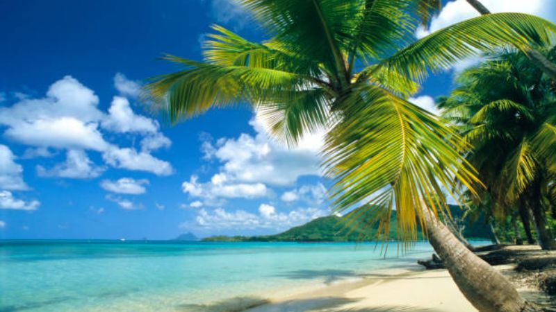 Sun & Sand at Diani Beach